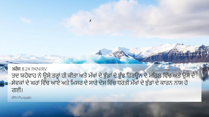 ਖ਼ਰੋਜ 8:24 PANIRV Bible Verse Image