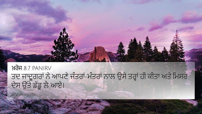 ਖ਼ਰੋਜ 8:7 PANIRV Bible Verse Image