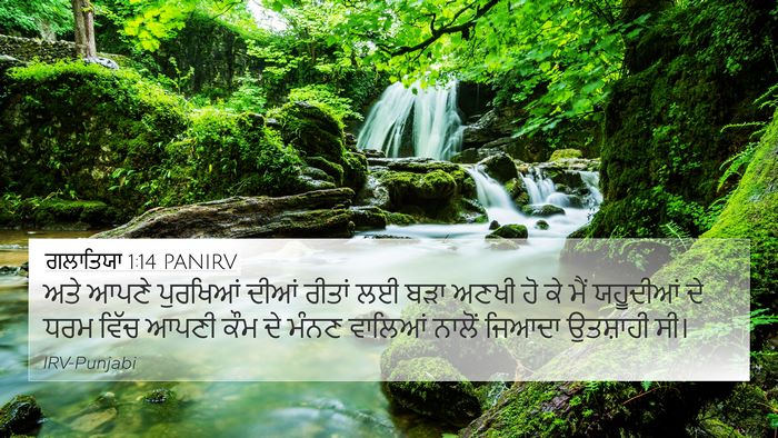 ਗਲਾਤਿਯਾ 1:14 PANIRV Bible Verse Image