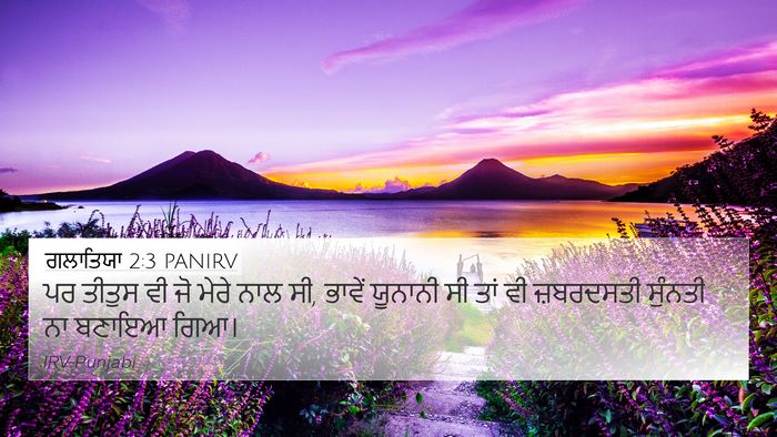 ਗਲਾਤਿਯਾ 2:3 PANIRV Bible Verse Image