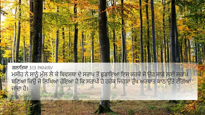 ਗਲਾਤਿਯਾ 3:13 PANIRV Bible Verse Image