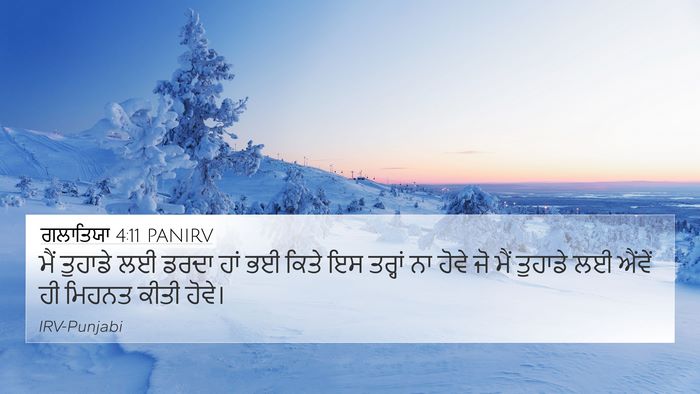ਗਲਾਤਿਯਾ 4:11 PANIRV Bible Verse Image
