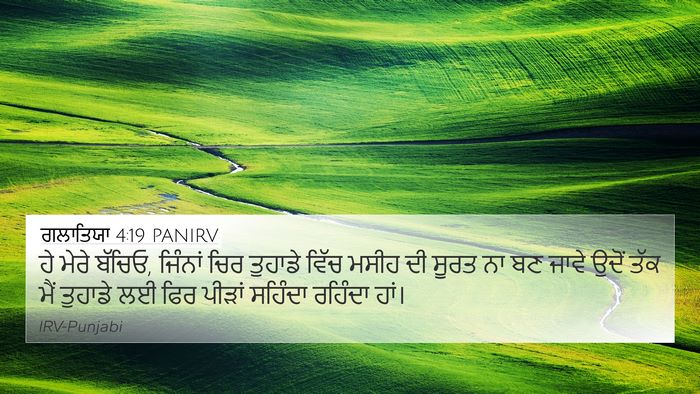 ਗਲਾਤਿਯਾ 4:19 PANIRV Bible Verse Image