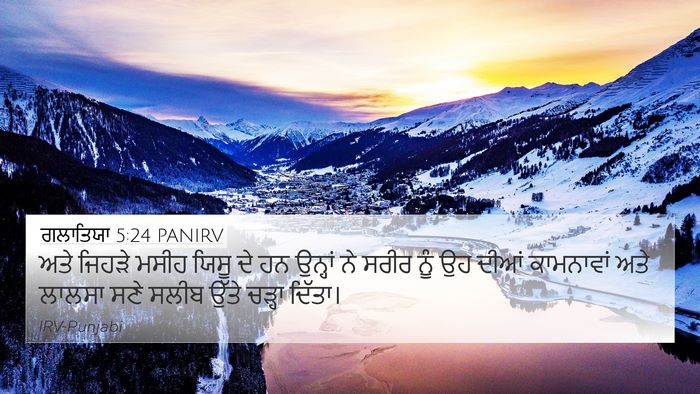 ਗਲਾਤਿਯਾ 5:24 PANIRV Bible Verse Image