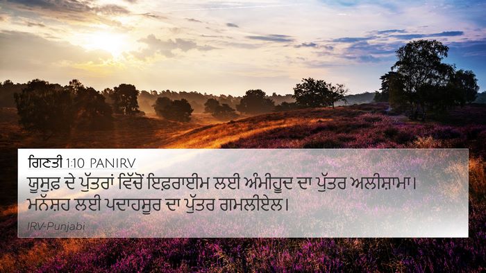 ਗਿਣਤੀ 1:10 PANIRV Bible Verse Image