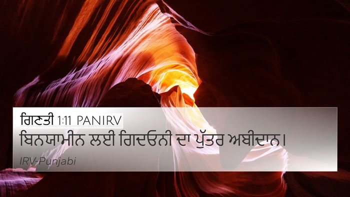 ਗਿਣਤੀ 1:11 PANIRV Bible Verse Image