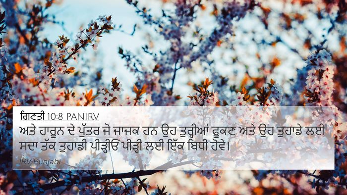 ਗਿਣਤੀ 10:8 PANIRV Bible Verse Image