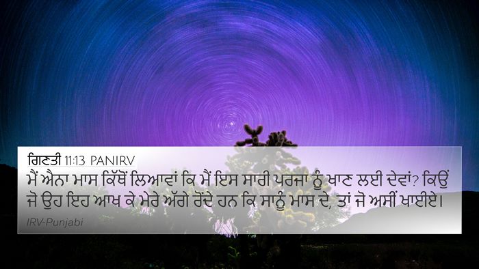 ਗਿਣਤੀ 11:13 PANIRV Bible Verse Image