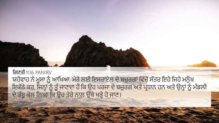 ਗਿਣਤੀ 11:16 PANIRV Bible Verse Image