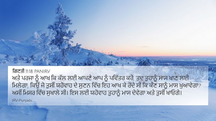 ਗਿਣਤੀ 11:18 PANIRV 4K Wallpaper - ਅਤੇ ਪਰਜਾ ਨੂੰ ਆਖ ਕਿ - 4K Wallpaper Bible Verse