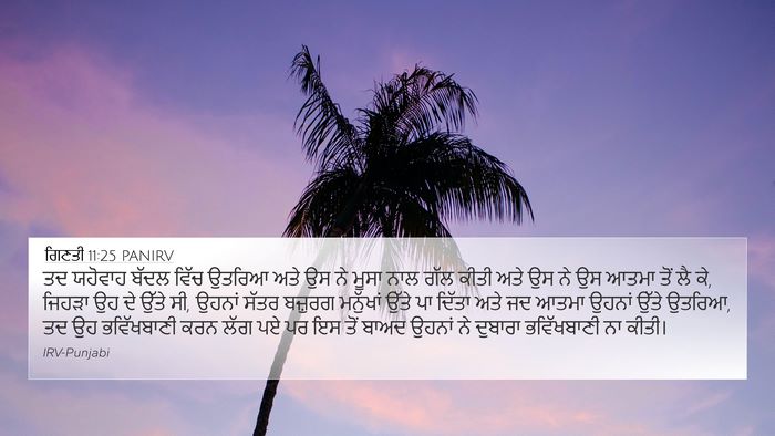ਗਿਣਤੀ 11:25 PANIRV Bible Verse Image