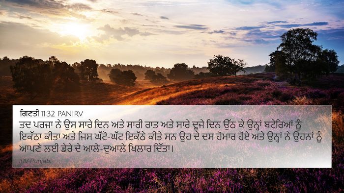 ਗਿਣਤੀ 11:32 PANIRV Bible Verse Image