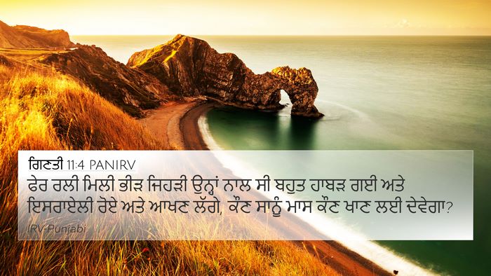 ਗਿਣਤੀ 11:4 PANIRV Bible Verse Image