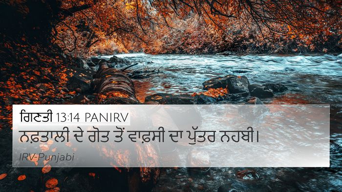 ਗਿਣਤੀ 13:14 PANIRV 4K Wallpaper - ਨਫ਼ਤਾਲੀ ਦੇ ਗੋਤ ਤੋਂ - 4K Wallpaper Bible Verse