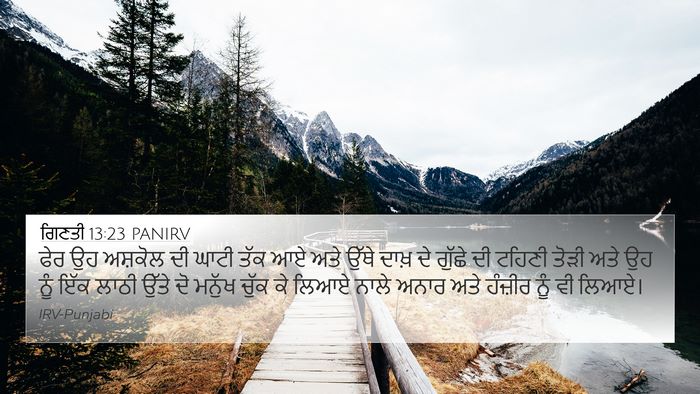 ਗਿਣਤੀ 13:23 PANIRV Bible Verse Image