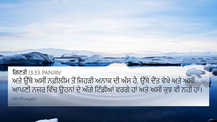 ਗਿਣਤੀ 13:33 PANIRV Bible Verse Image