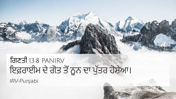 ਗਿਣਤੀ 13:8 PANIRV Bible Verse Image