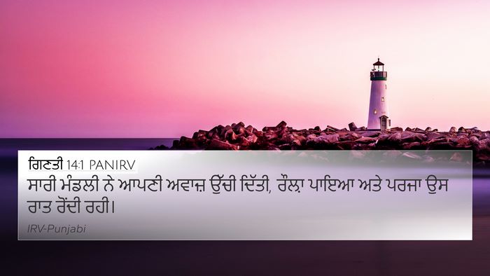 ਗਿਣਤੀ 14:1 PANIRV Bible Verse Image
