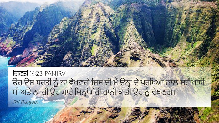 ਗਿਣਤੀ 14:23 PANIRV Bible Verse Image