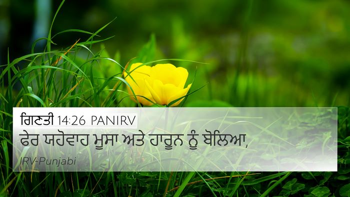 ਗਿਣਤੀ 14:26 PANIRV 4K Wallpaper - ਫੇਰ ਯਹੋਵਾਹ ਮੂਸਾ - 4K Wallpaper Bible Verse