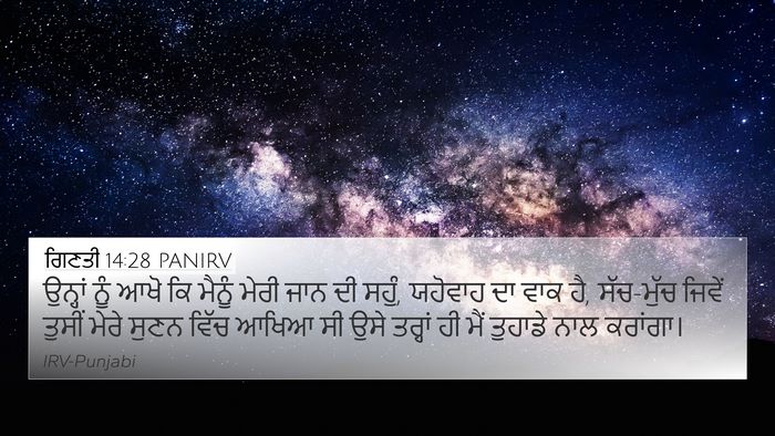 ਗਿਣਤੀ 14:28 PANIRV Bible Verse Image