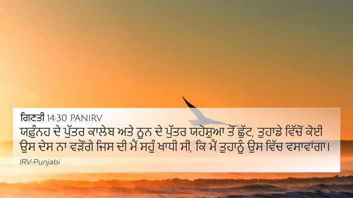 ਗਿਣਤੀ 14:30 PANIRV Bible Verse Image