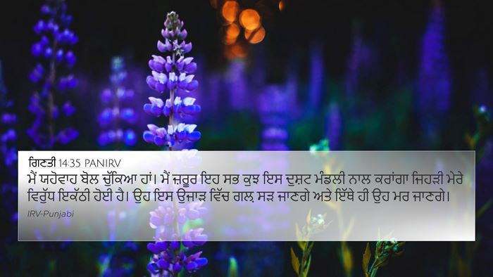 ਗਿਣਤੀ 14:35 PANIRV Bible Verse Image