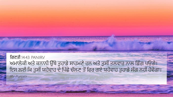 ਗਿਣਤੀ 14:43 PANIRV Bible Verse Image