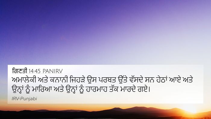ਗਿਣਤੀ 14:45 PANIRV Bible Verse Image