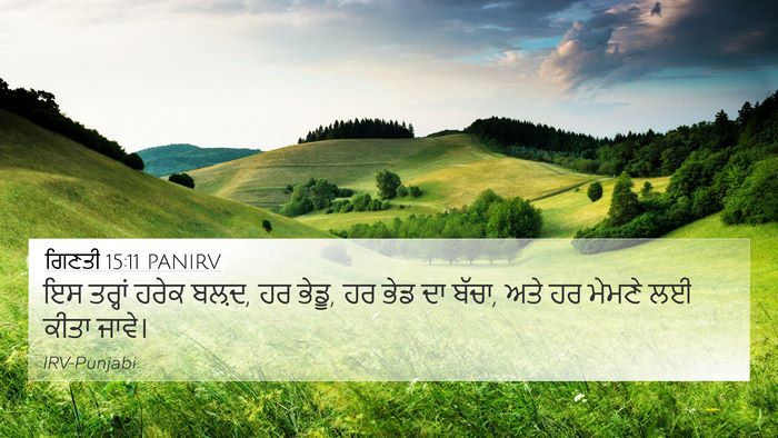 ਗਿਣਤੀ 15:11 PANIRV Bible Verse Image