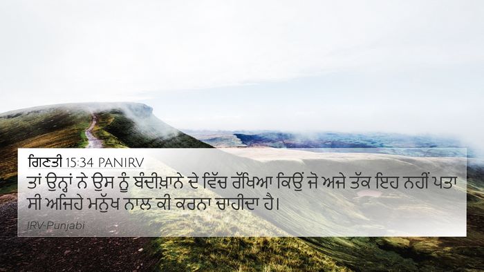 ਗਿਣਤੀ 15:34 PANIRV Bible Verse Image