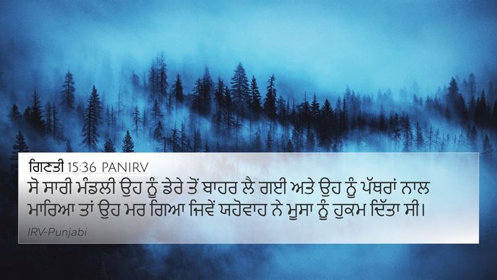 ਗਿਣਤੀ 15:36 PANIRV 4K Wallpaper - ਸੋ ਸਾਰੀ ਮੰਡਲੀ ਉਹ - 4K Wallpaper Bible Verse