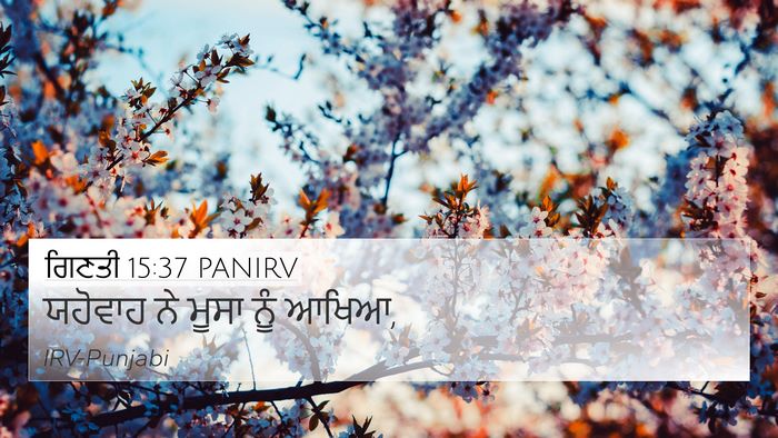 ਗਿਣਤੀ 15:37 PANIRV 4K Wallpaper - ਯਹੋਵਾਹ ਨੇ ਮੂਸਾ ਨੂੰ - 4K Wallpaper Bible Verse