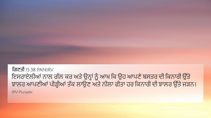 ਗਿਣਤੀ 15:38 PANIRV Bible Verse Image