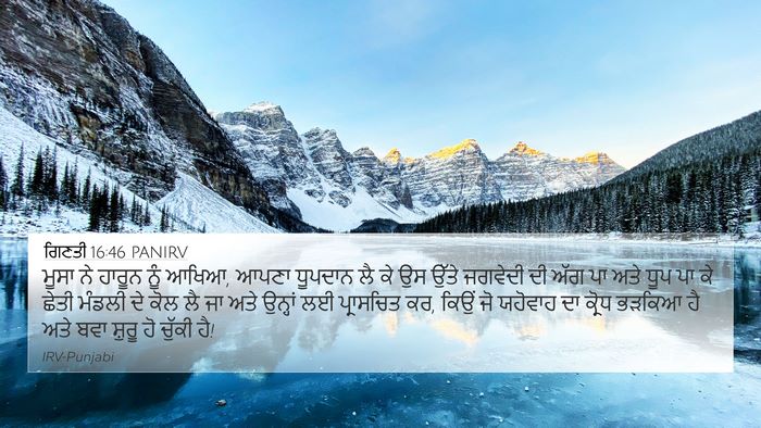 ਗਿਣਤੀ 16:46 PANIRV Bible Verse Image