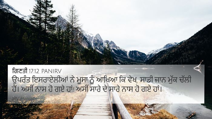 ਗਿਣਤੀ 17:12 PANIRV Bible Verse Image