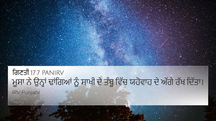 ਗਿਣਤੀ 17:7 PANIRV 4K Wallpaper - ਮੂਸਾ ਨੇ ਉਨ੍ਹਾਂ - 4K Wallpaper Bible Verse