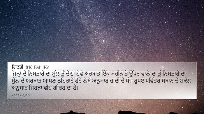 ਗਿਣਤੀ 18:16 PANIRV Bible Verse Image