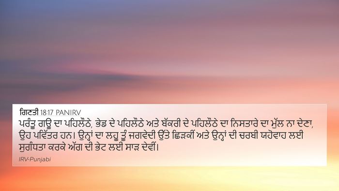 ਗਿਣਤੀ 18:17 PANIRV 4K Wallpaper - ਪਰੰਤੂ ਗਊ ਦਾ - 4K Wallpaper Bible Verse