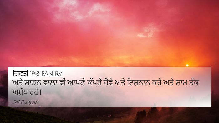 ਗਿਣਤੀ 19:8 PANIRV Bible Verse Image