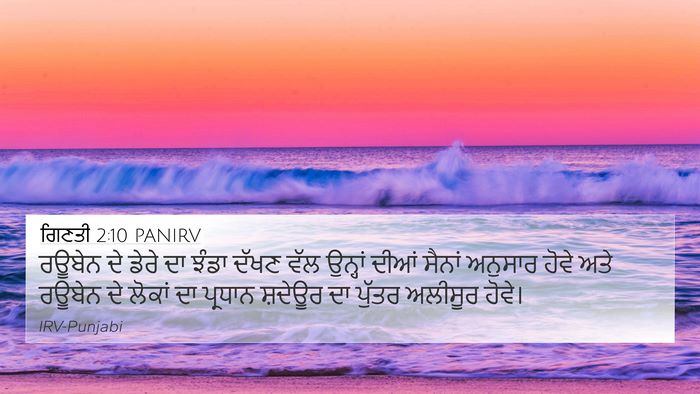 ਗਿਣਤੀ 2:10 PANIRV Bible Verse Image