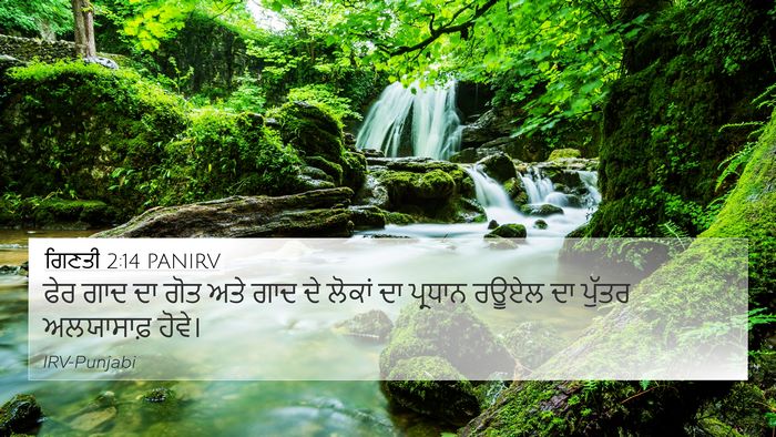 ਗਿਣਤੀ 2:14 PANIRV Bible Verse Image