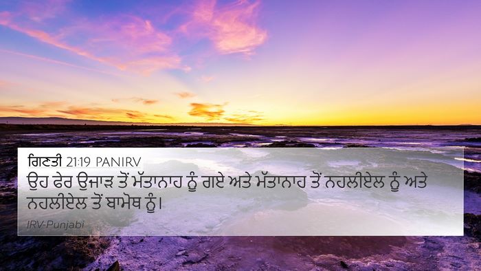 ਗਿਣਤੀ 21:19 PANIRV Bible Verse Image