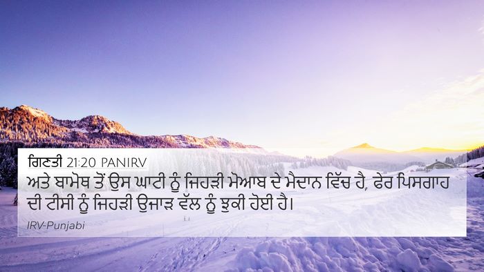 ਗਿਣਤੀ 21:20 PANIRV Bible Verse Image