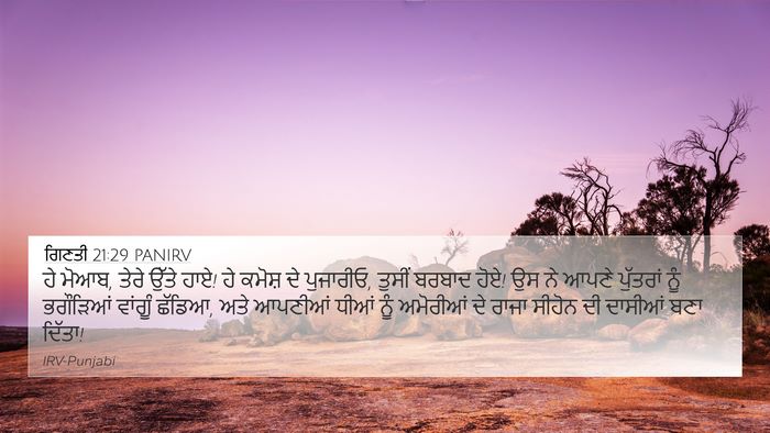 ਗਿਣਤੀ 21:29 PANIRV 4K Wallpaper - ਹੇ ਮੋਆਬ, ਤੇਰੇ ਉੱਤੇ - 4K Wallpaper Bible Verse