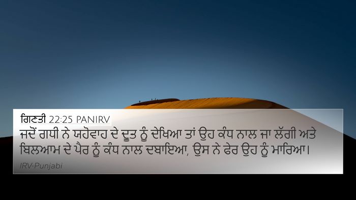 ਗਿਣਤੀ 22:25 PANIRV 4K Wallpaper - ਜਦੋਂ ਗਧੀ ਨੇ ਯਹੋਵਾਹ - 4K Wallpaper Bible Verse