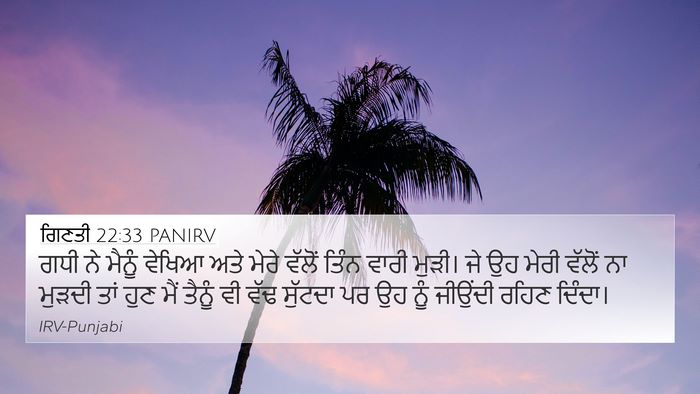 ਗਿਣਤੀ 22:33 PANIRV 4K Wallpaper - ਗਧੀ ਨੇ ਮੈਨੂੰ ਵੇਖਿਆ - 4K Wallpaper Bible Verse