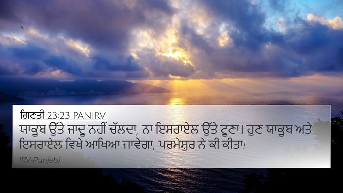 ਗਿਣਤੀ 23:23 PANIRV Bible Verse Image