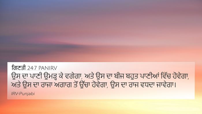 ਗਿਣਤੀ 24:7 PANIRV Bible Verse Image