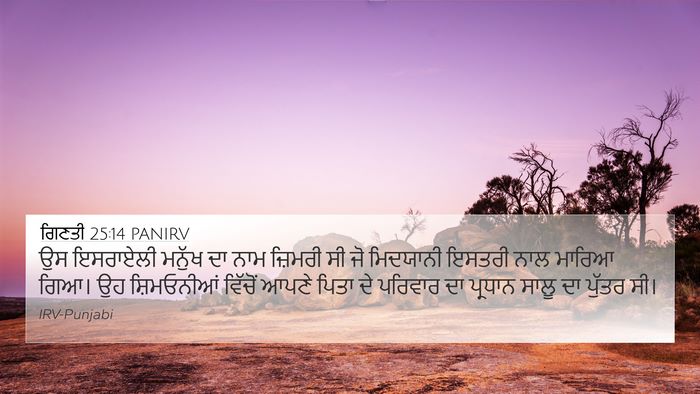 ਗਿਣਤੀ 25:14 PANIRV Bible Verse Image